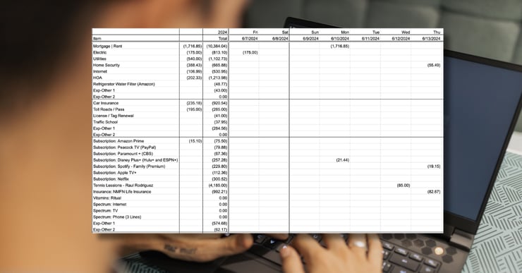 earlier version of the excel spreadsheet
